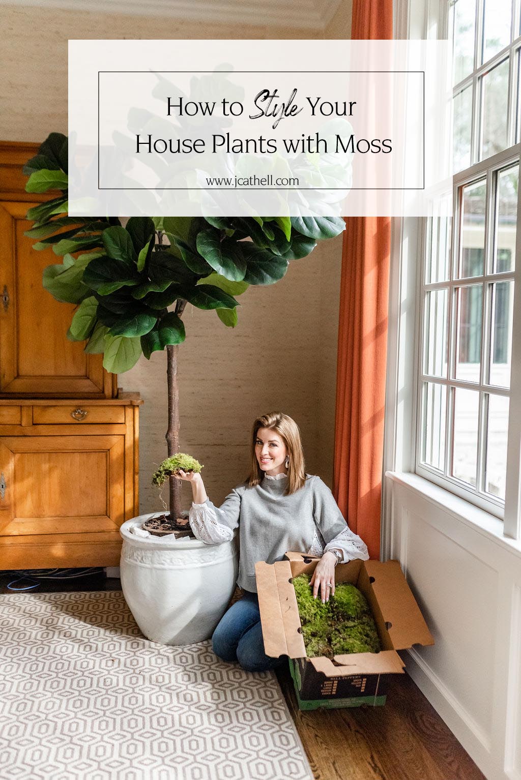 How to Style Your House Plants with Moss - J. Cathell